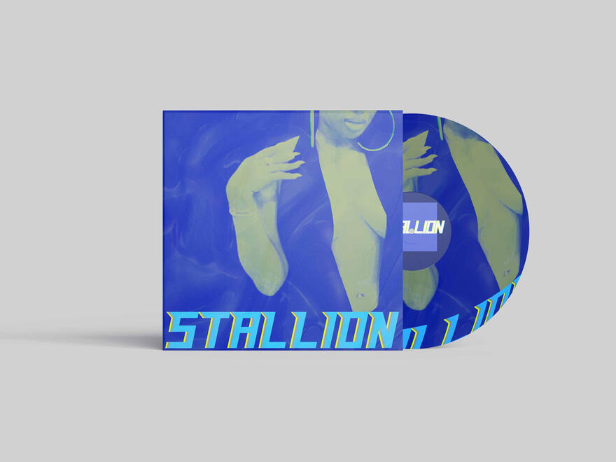 Fake Vinyl record